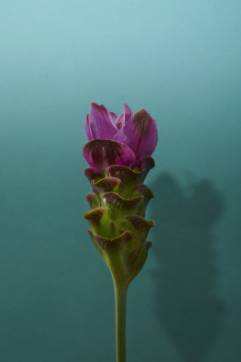  Katrin Lautenbach Fotografie