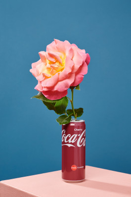  Katrin Lautenbach Fotografie