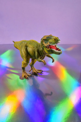 Dino Dino, 2024, Katrin Lautenbach, Fotografie, Karlsruhe Katrin Lautenbach Fotografie